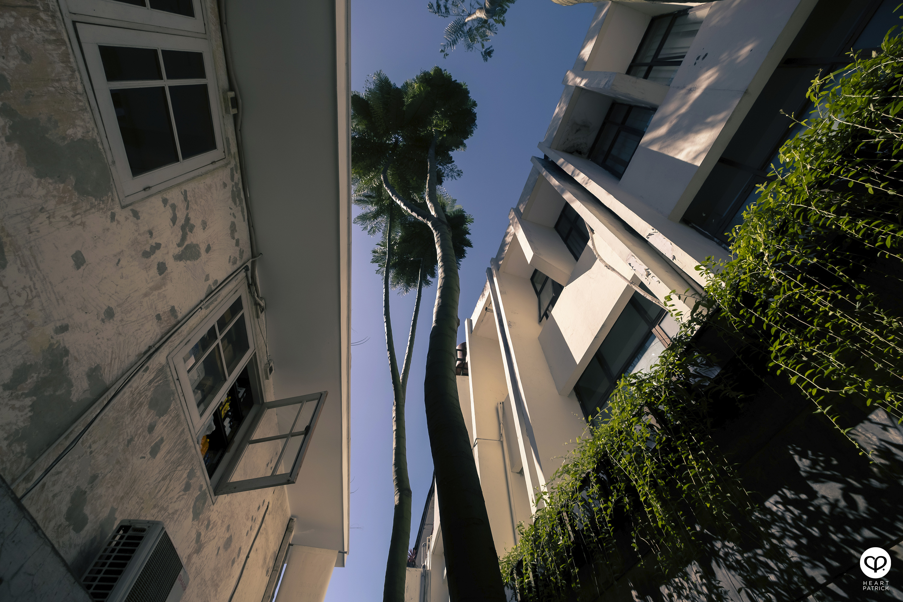 heartpatrick travel photography java 2023 bandung yogyakarta jakarta