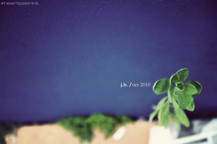 heartpatrick johor bahru urban heritage