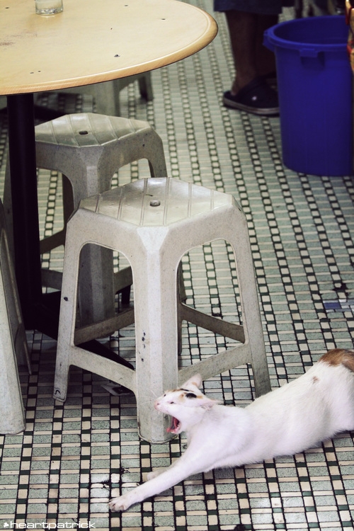 heartpatrick johor bahru urban heritage