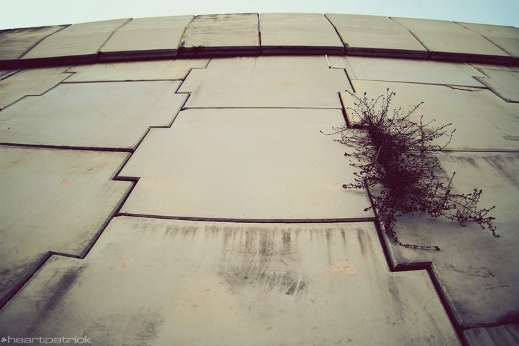 heartpatrick johor bahru urban heritage