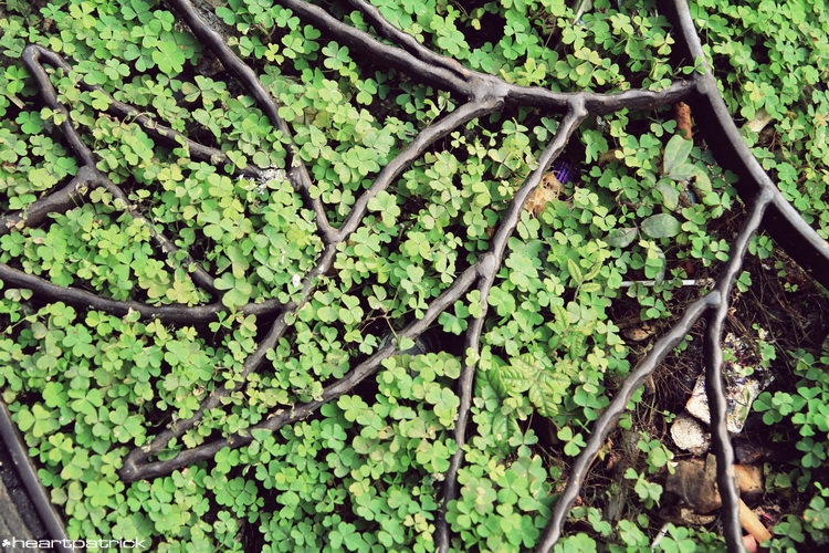 heartpatrick johor bahru urban heritage