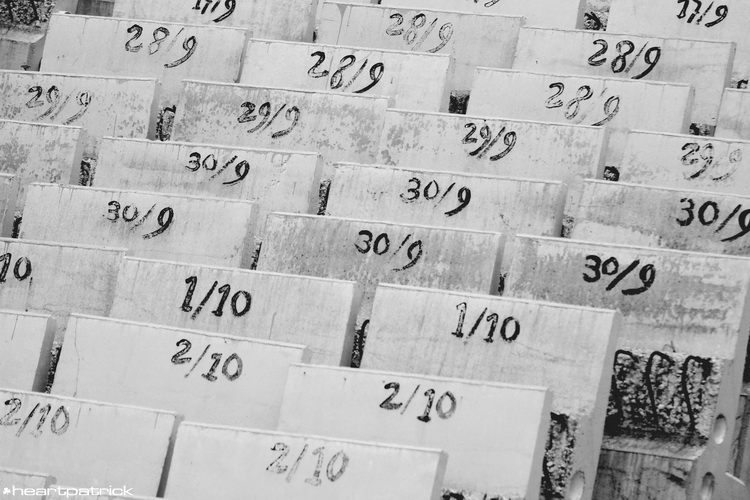 heartpatrick johor bahru urban heritage