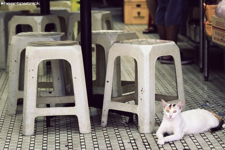 heartpatrick johor bahru urban heritage