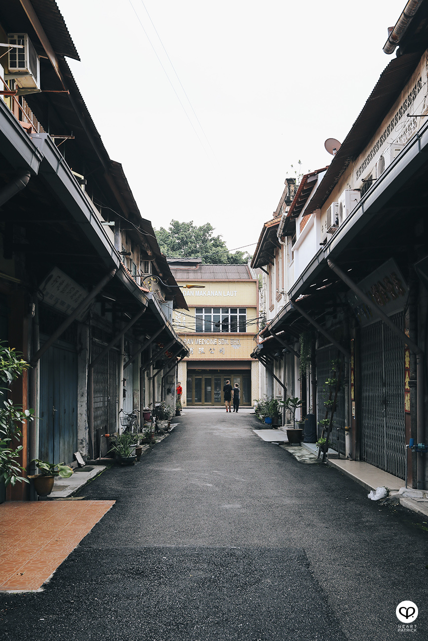 malacca melaka jonker urban heritage street photography puppies captivity