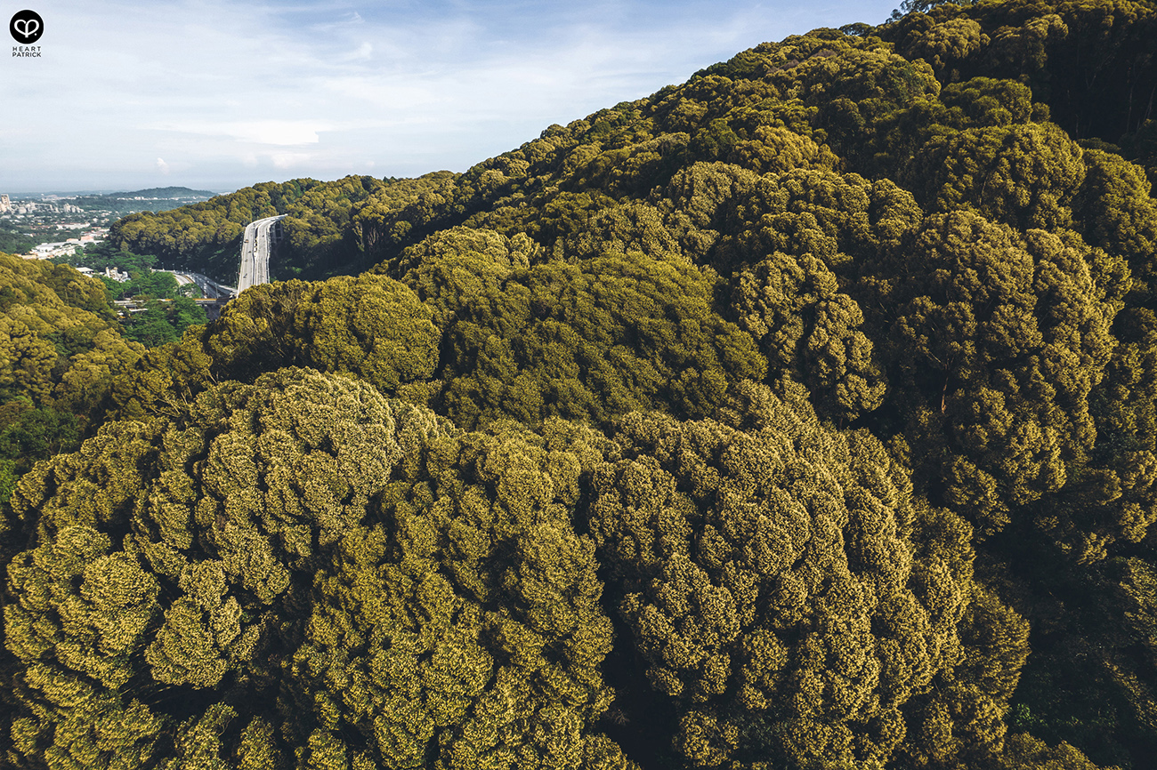 heartpatrick urban exploring architecture asia school business kuala lumpur