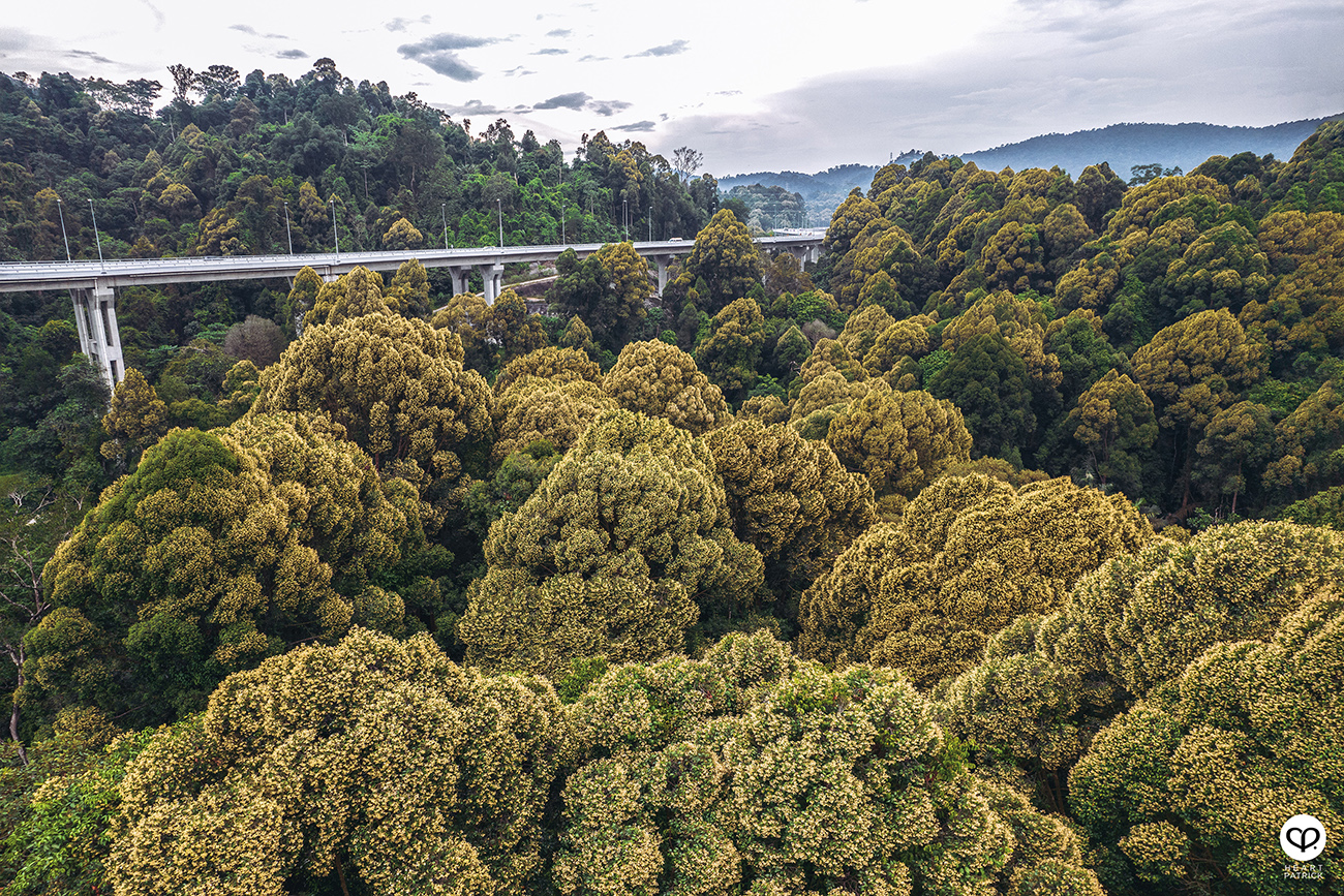 heartpatrick urban exploring architecture asia school business kuala lumpur