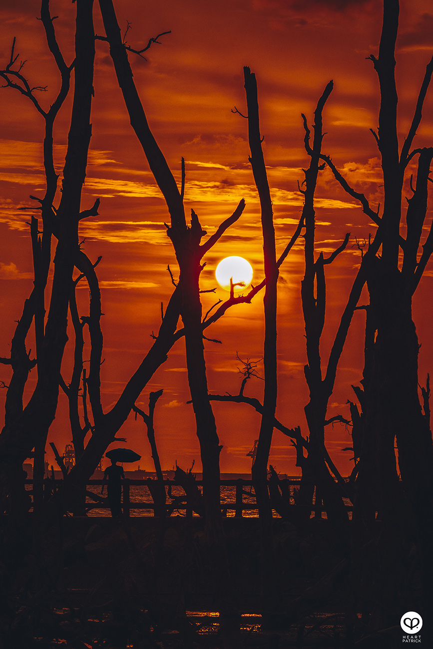 heartpatrick urban exploring kayu bakau pasir panjang sitiawan perak