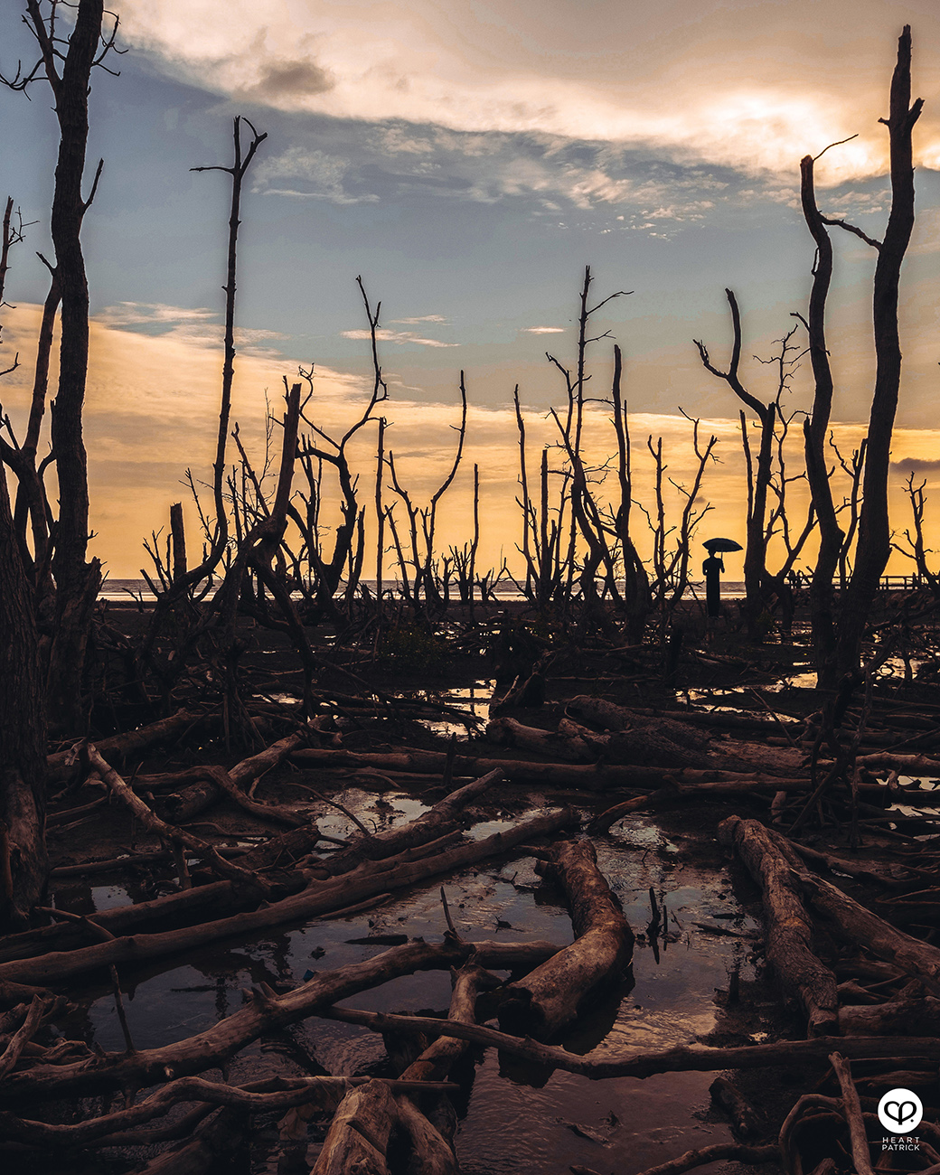 heartpatrick urban exploring kayu bakau pasir panjang sitiawan perak