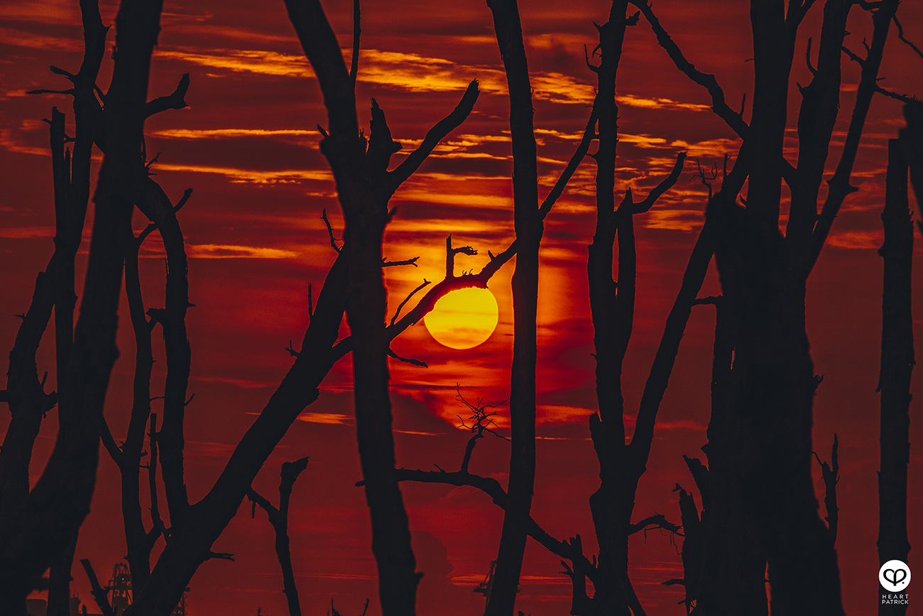 heartpatrick urban exploring kayu bakau pasir panjang sitiawan perak