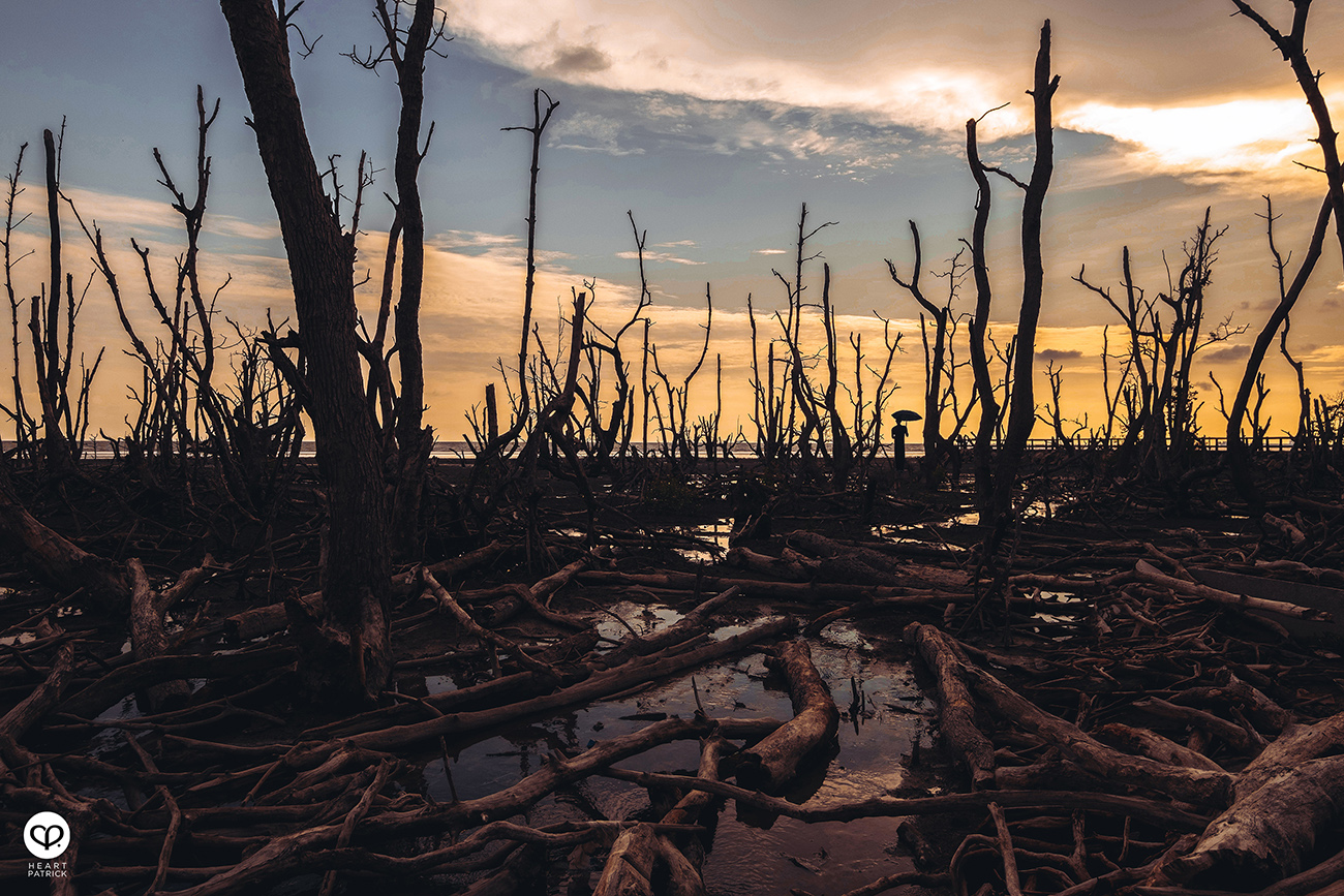heartpatrick urban exploring kayu bakau pasir panjang sitiawan perak