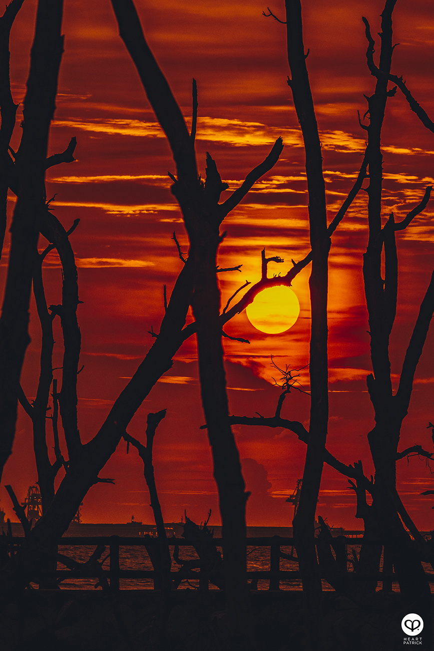 heartpatrick urban exploring kayu bakau pasir panjang sitiawan perak