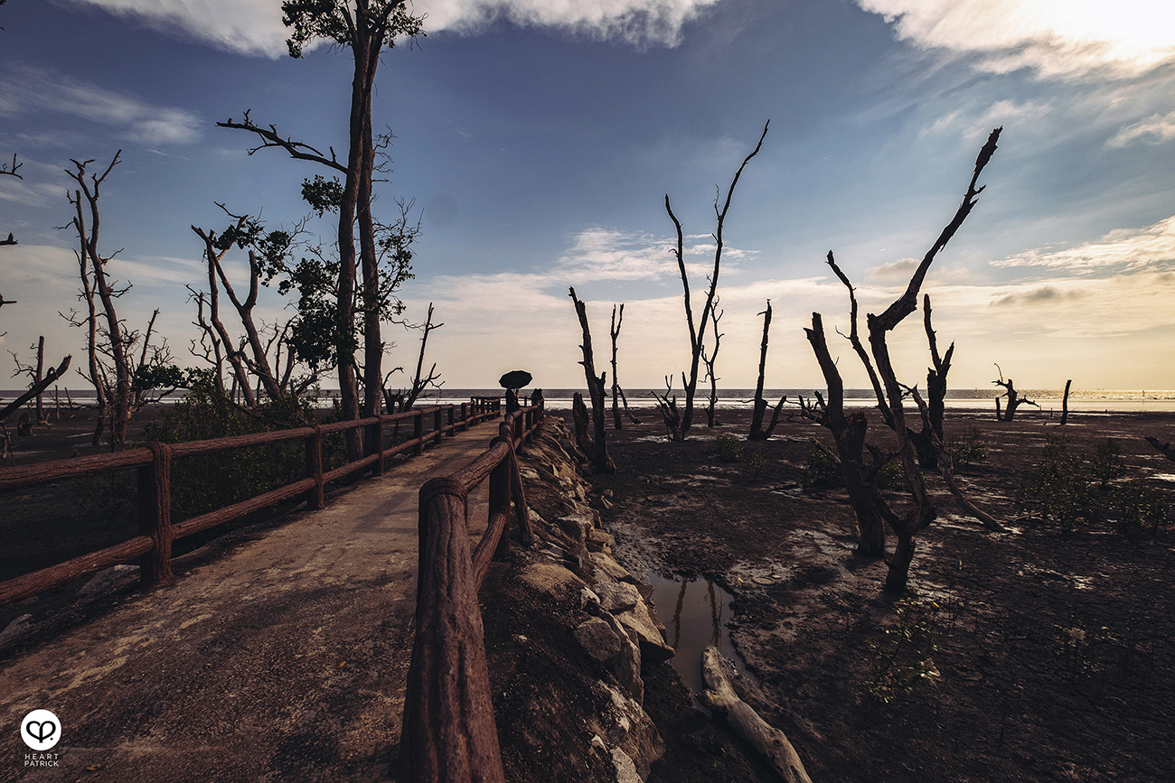 heartpatrick urban exploring kayu bakau pasir panjang sitiawan perak