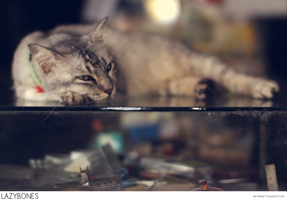 heartpatrick selangor urban heritage kuala kubu baru