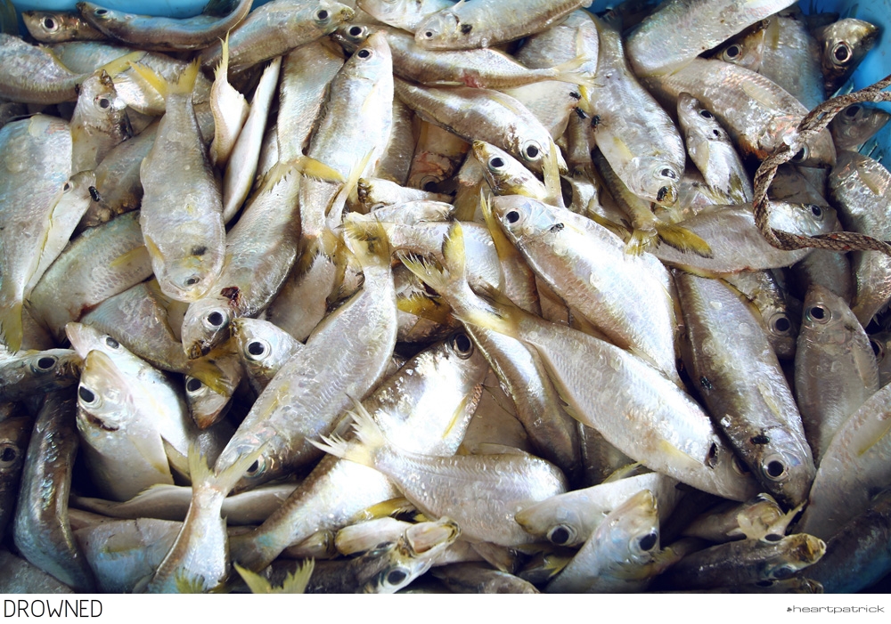 heartpatrick selangor urban heritage kuala kubu baru