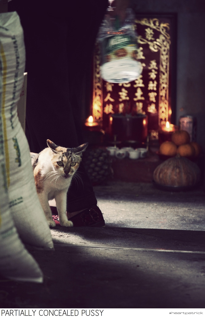 heartpatrick selangor urban heritage kuala kubu baru