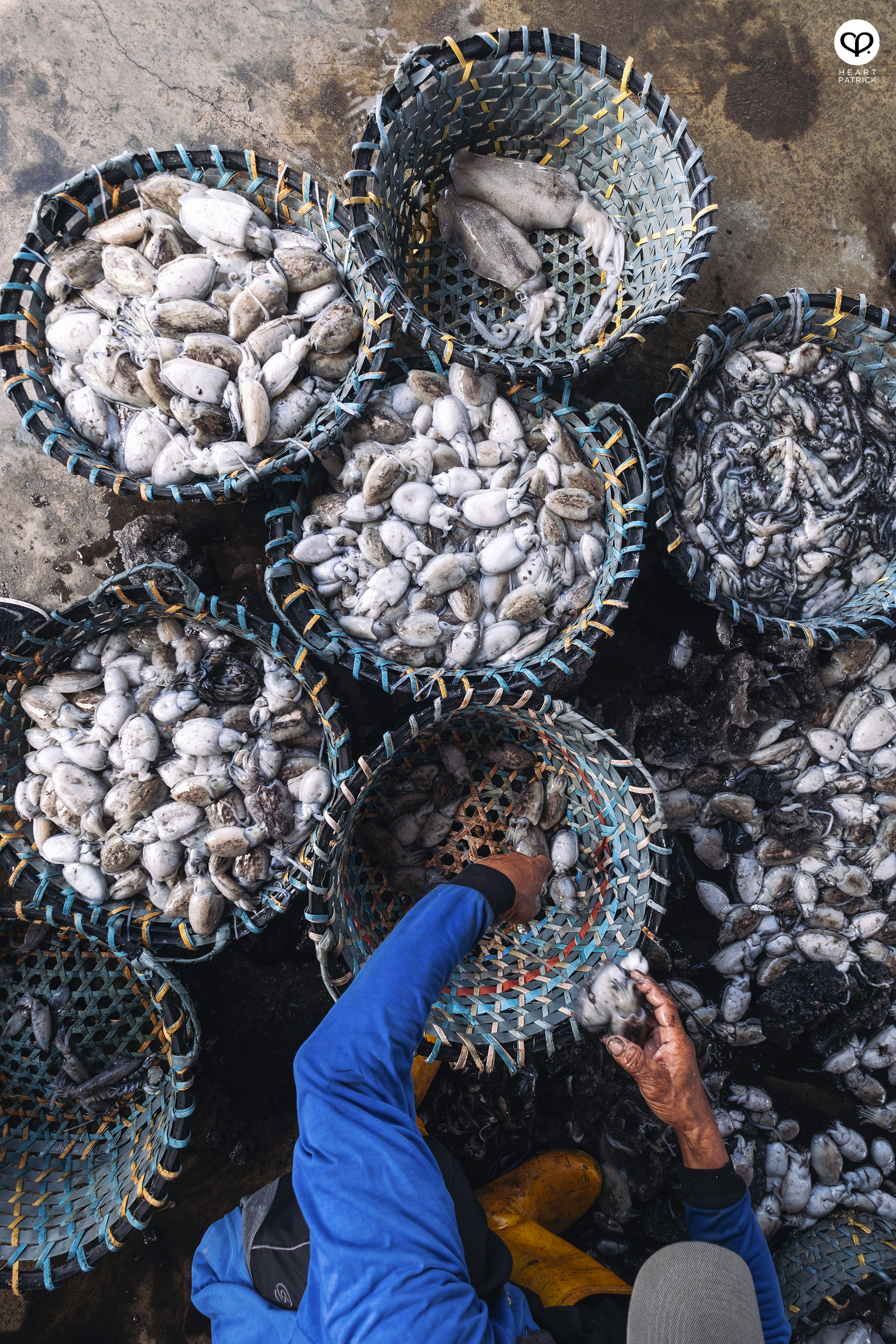 heartpatrick kuala kurau perak malaysia heritage fishing village