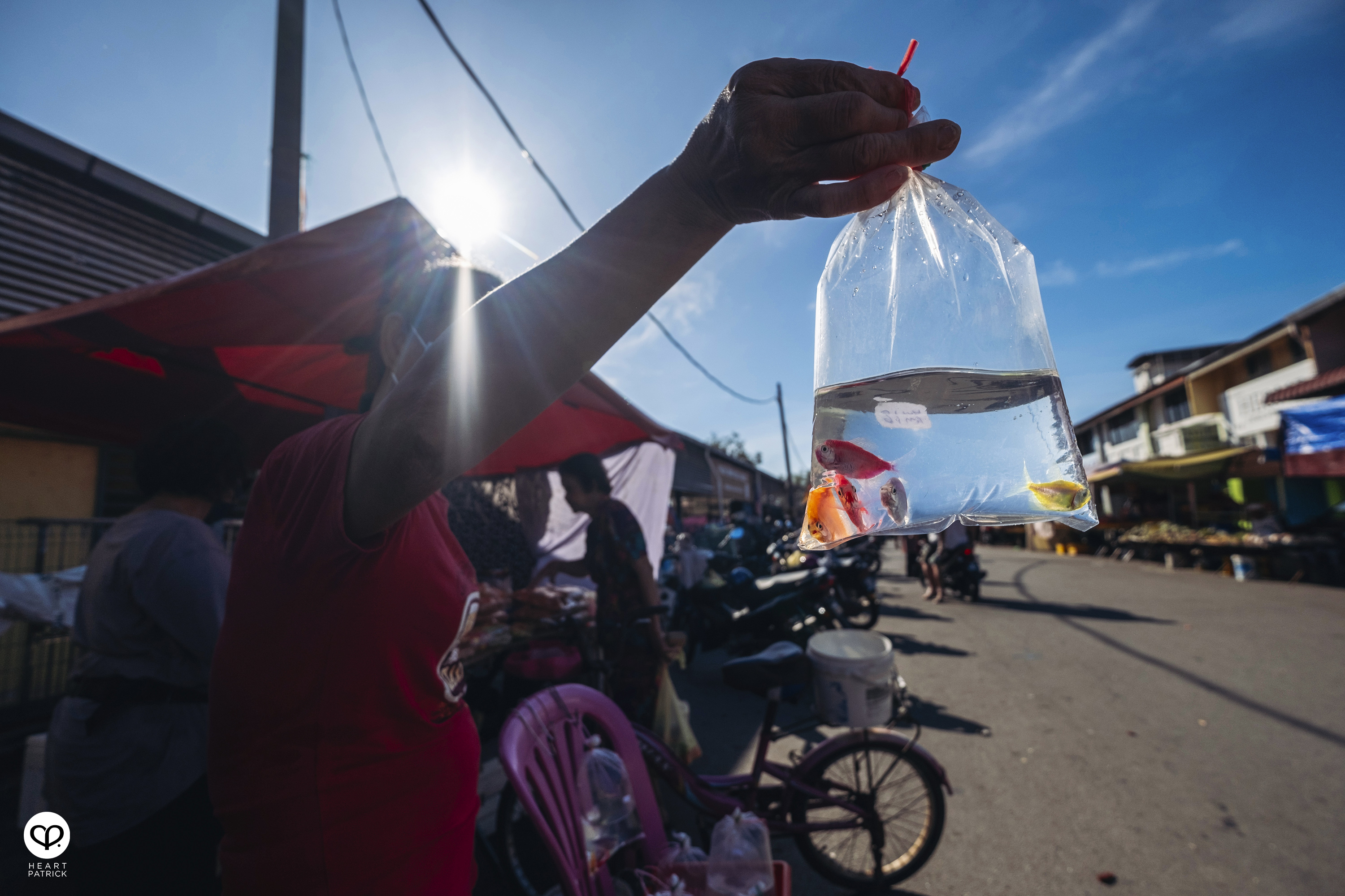 heartpatrick kuala kurau perak malaysia heritage fishing village