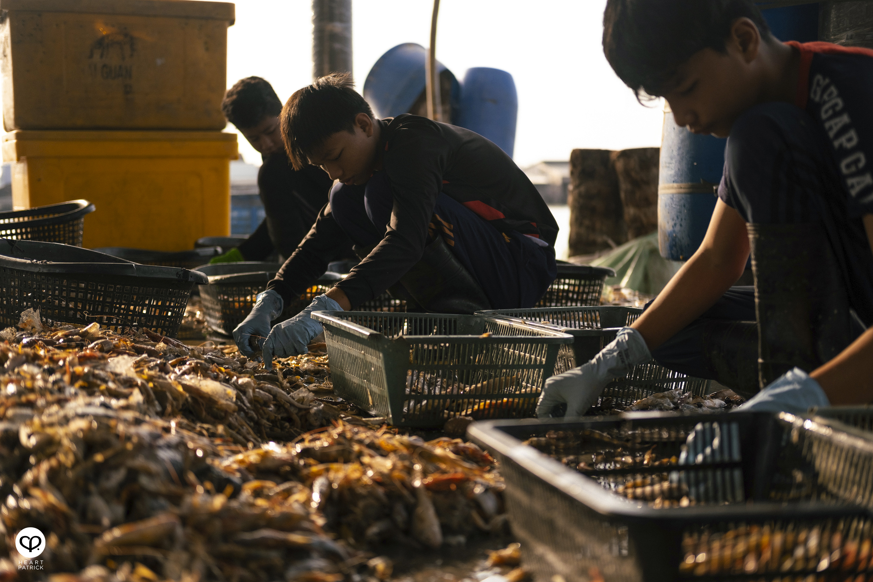 heartpatrick kuala kurau perak malaysia heritage fishing village
