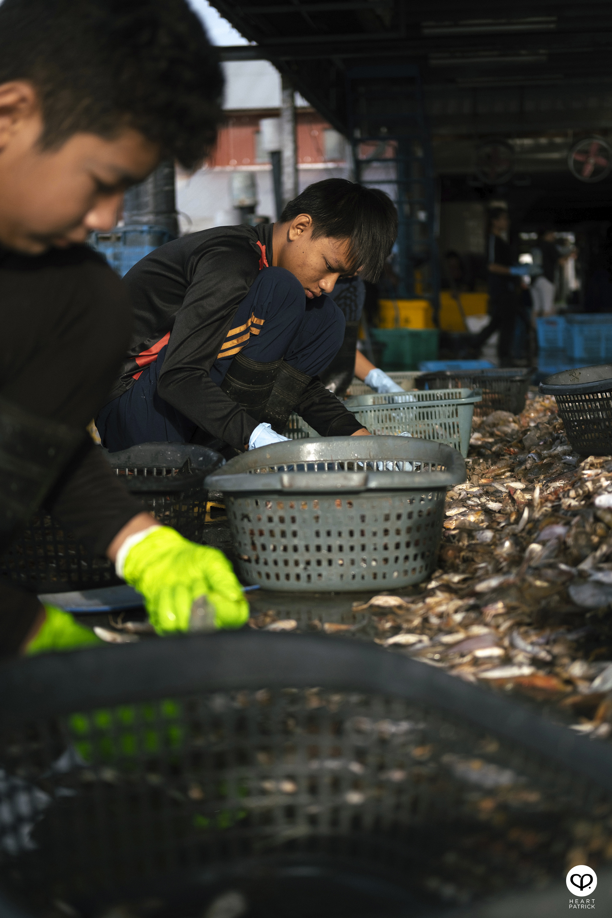 heartpatrick kuala kurau perak malaysia heritage fishing village