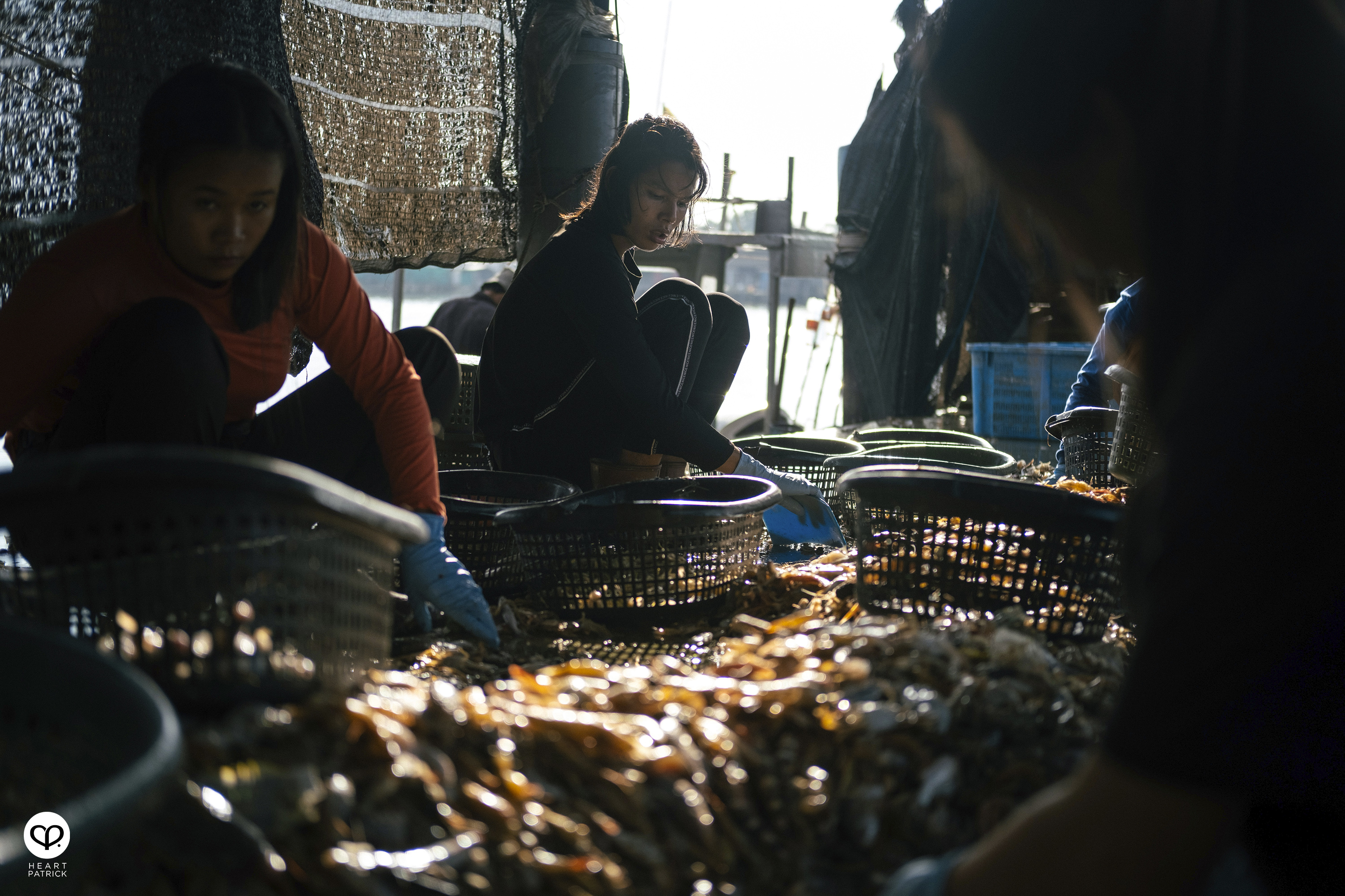 heartpatrick kuala kurau perak malaysia heritage fishing village