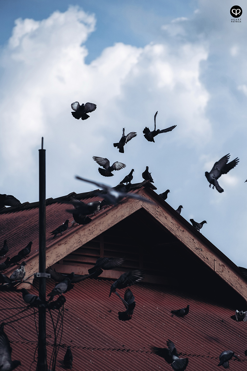 heartpatrick heritage street photography kuala pilah negeri sembilan malaysia