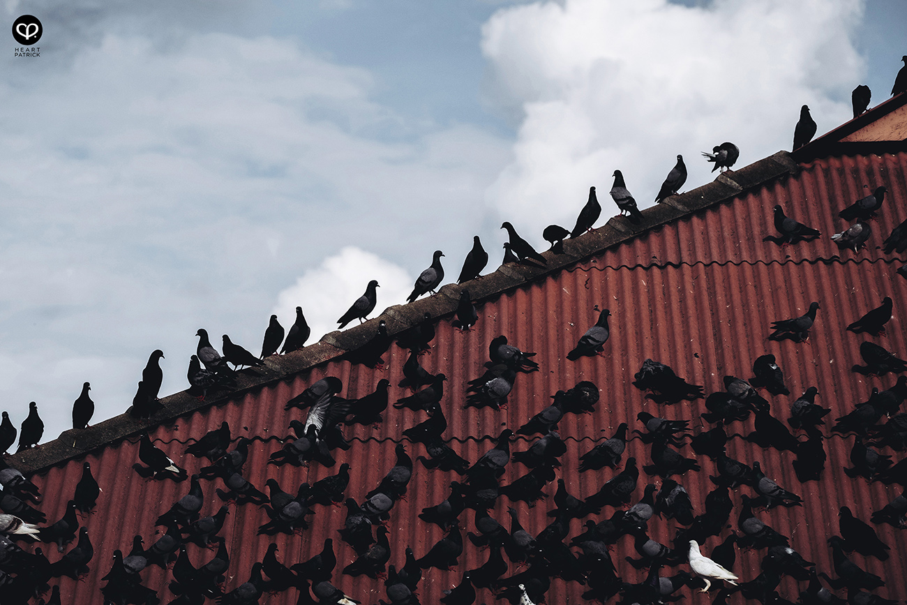 heartpatrick heritage street photography kuala pilah negeri sembilan malaysia