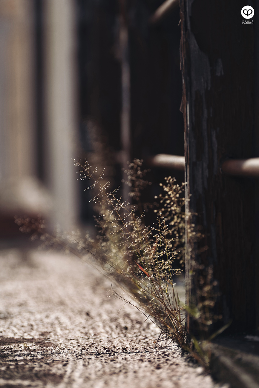 heartpatrick heritage street photography kuala pilah negeri sembilan malaysia