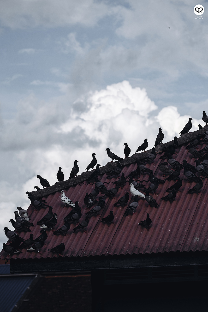 heartpatrick heritage street photography kuala pilah negeri sembilan malaysia