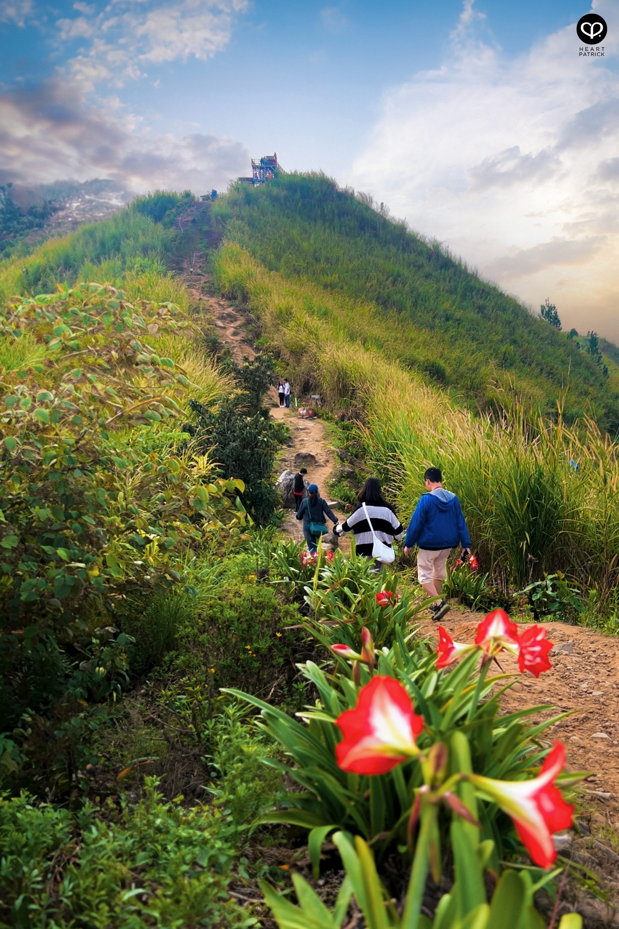 heartpatrick travel photography kundasang mount kinabalu sabah