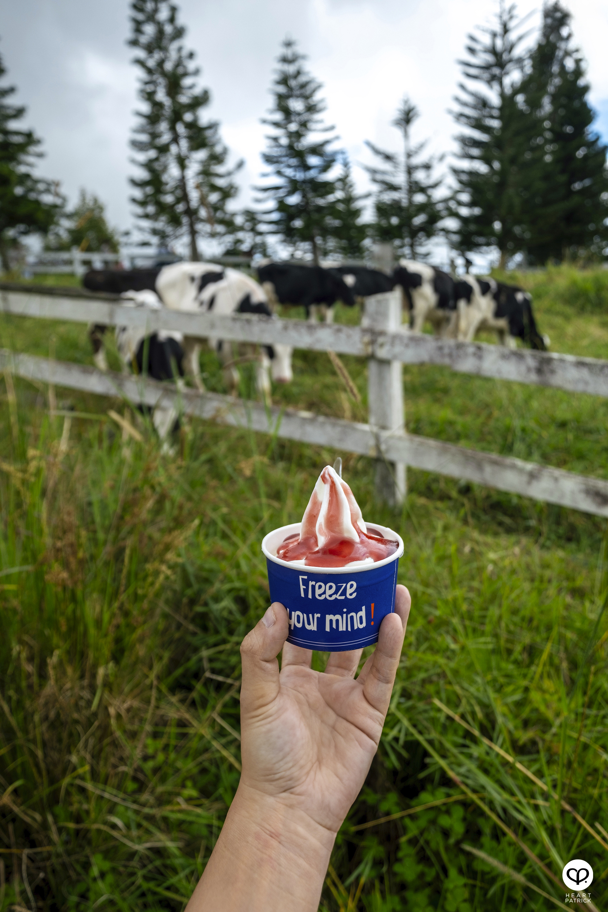 heartpatrick travel photography kundasang mount kinabalu sabah