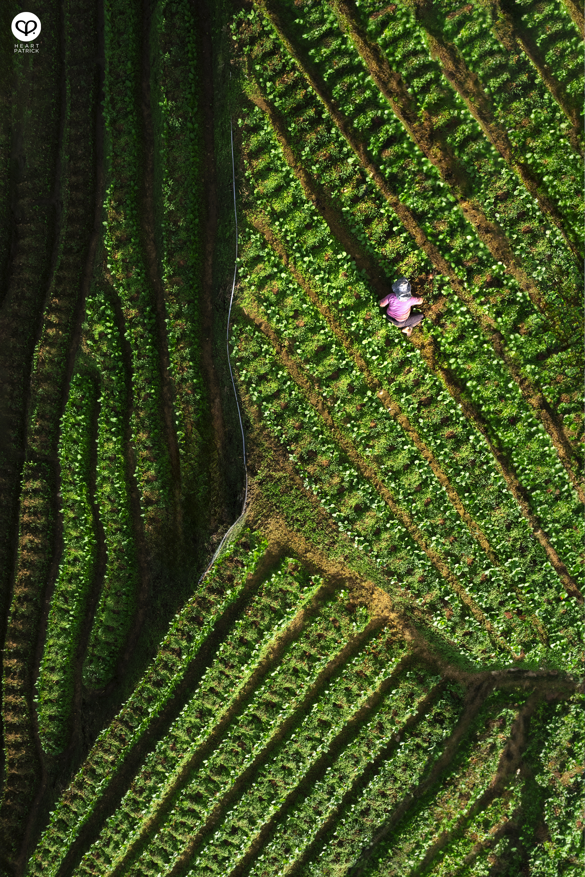 heartpatrick travel photography kundasang mount kinabalu sabah