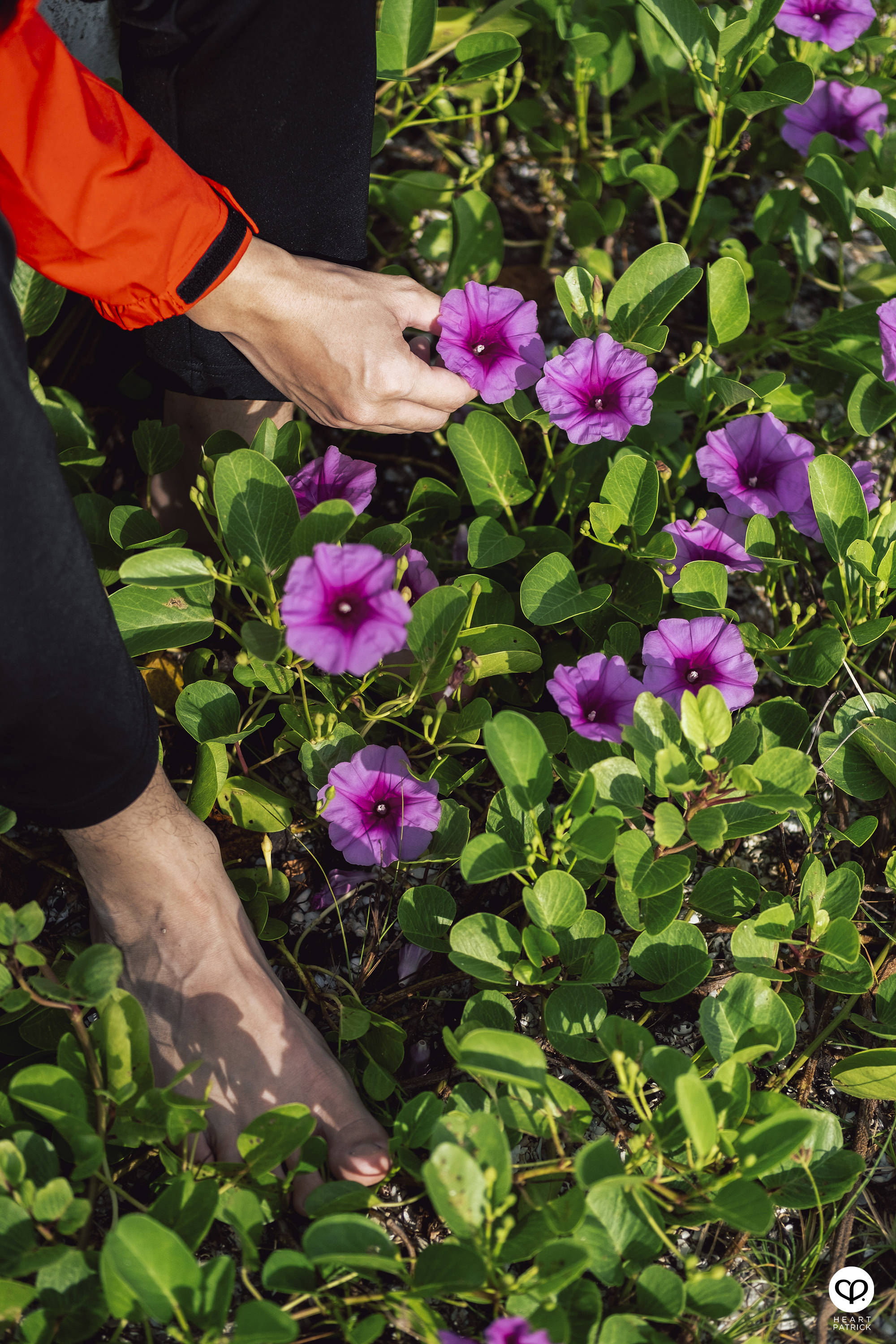 heartpatrick architecture interior homestay photography kuala kurau