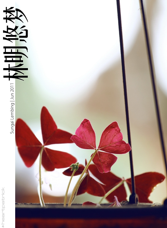 sungai lembing urban heritage photojournalism street photography