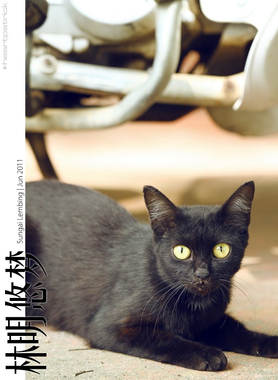 sungai lembing urban heritage photojournalism street photography