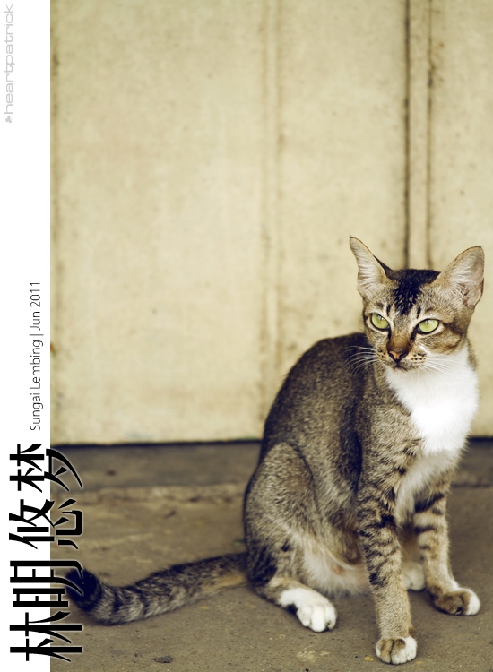 sungai lembing urban heritage photojournalism street photography