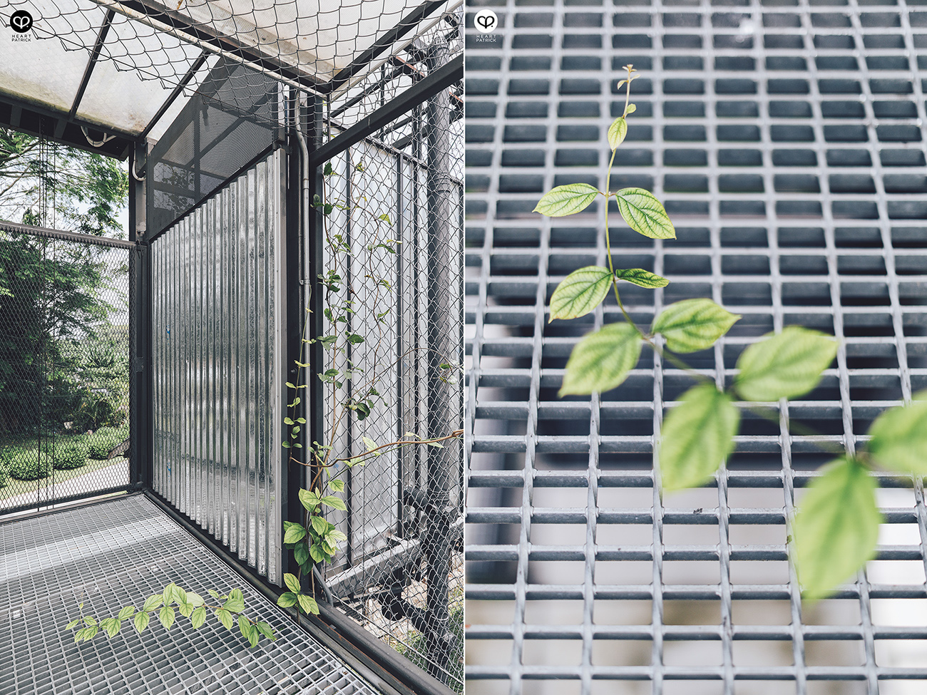 heartpatrick architecture and interior photography for leprosy valley of hope in sungai buloh kuala lumpur