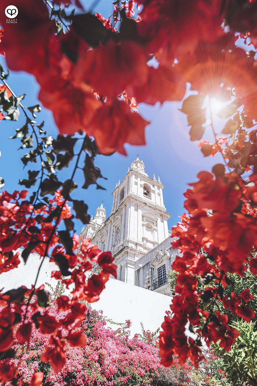 heartpatrick travel photography street lisbon portugal summer