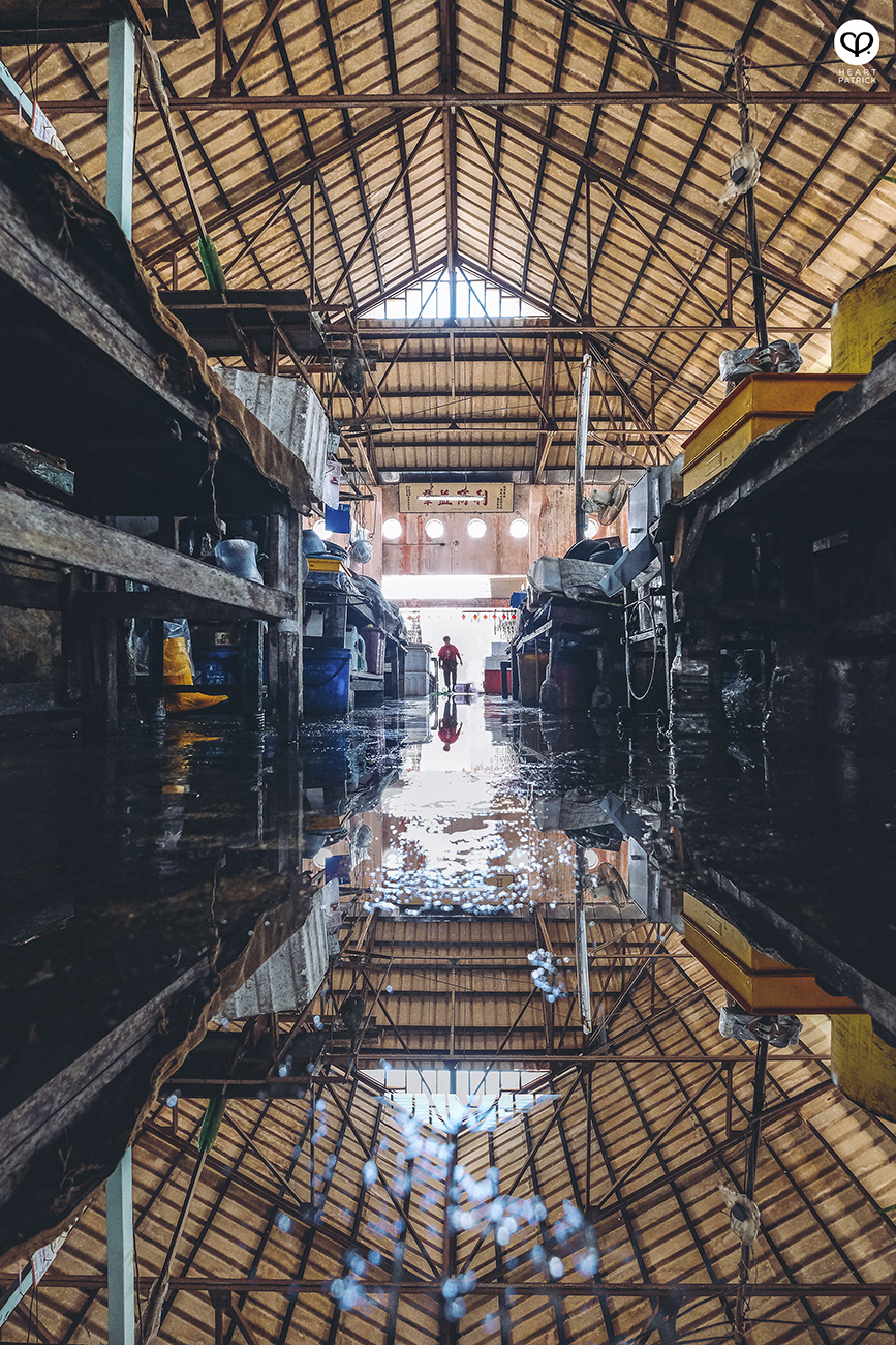 heartpatrick urban exploring portraits owen melaka