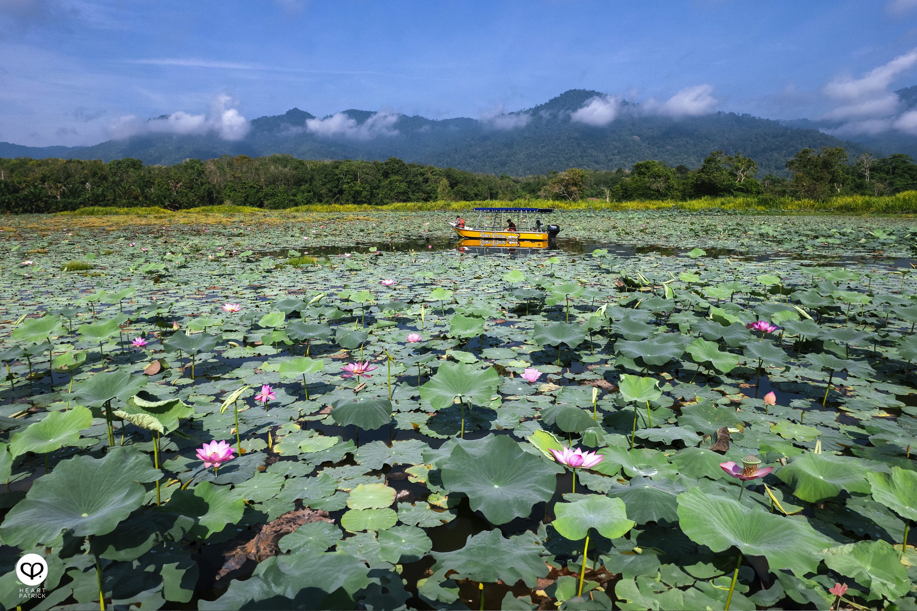 heartpatrick malaysia heritage mini amazon kampung beng lenggong perak