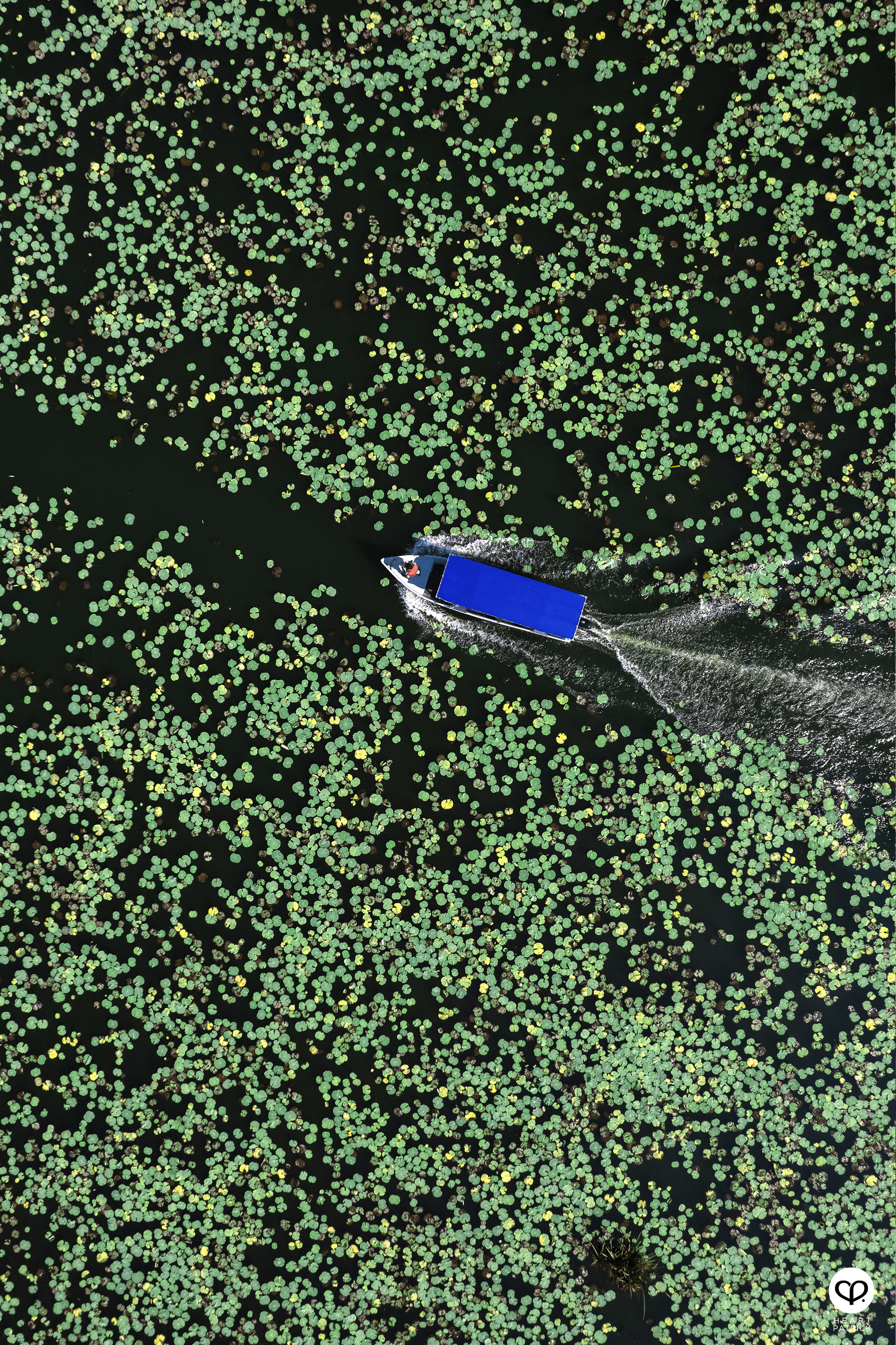 heartpatrick malaysia heritage mini amazon kampung beng lenggong perak