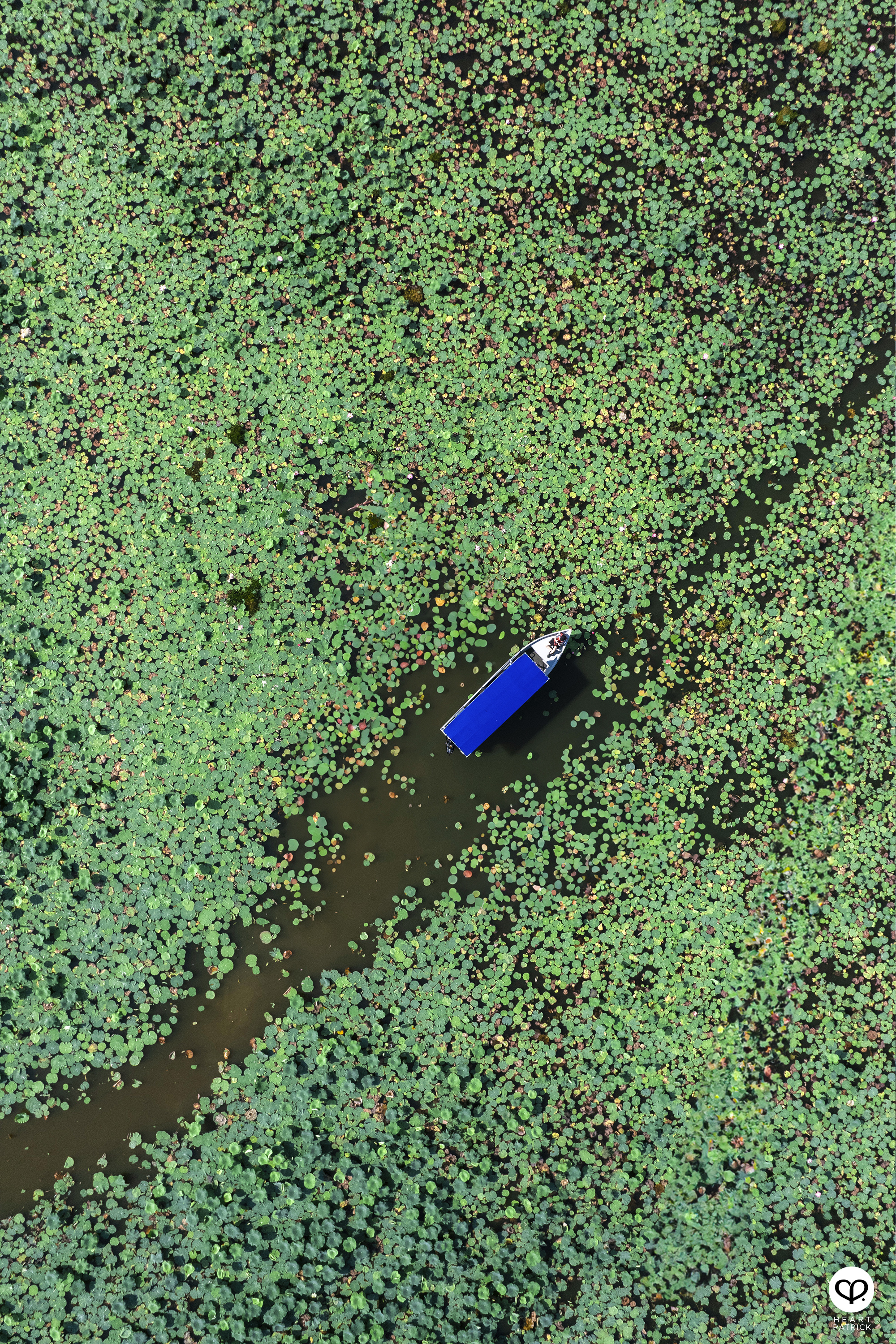 heartpatrick malaysia heritage mini amazon kampung beng lenggong perak