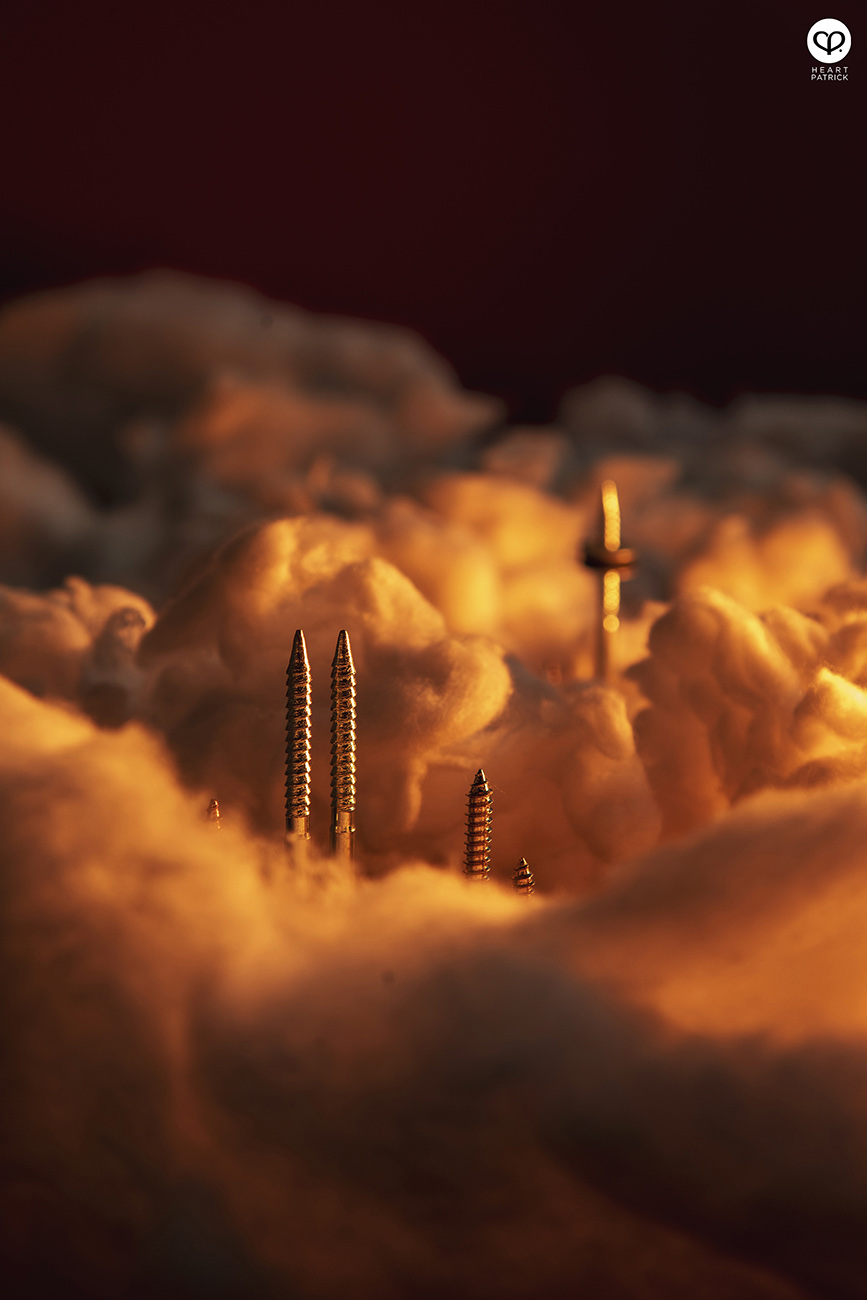 heartpatrick miniature macro photography malaysia kuala lumpur good morning