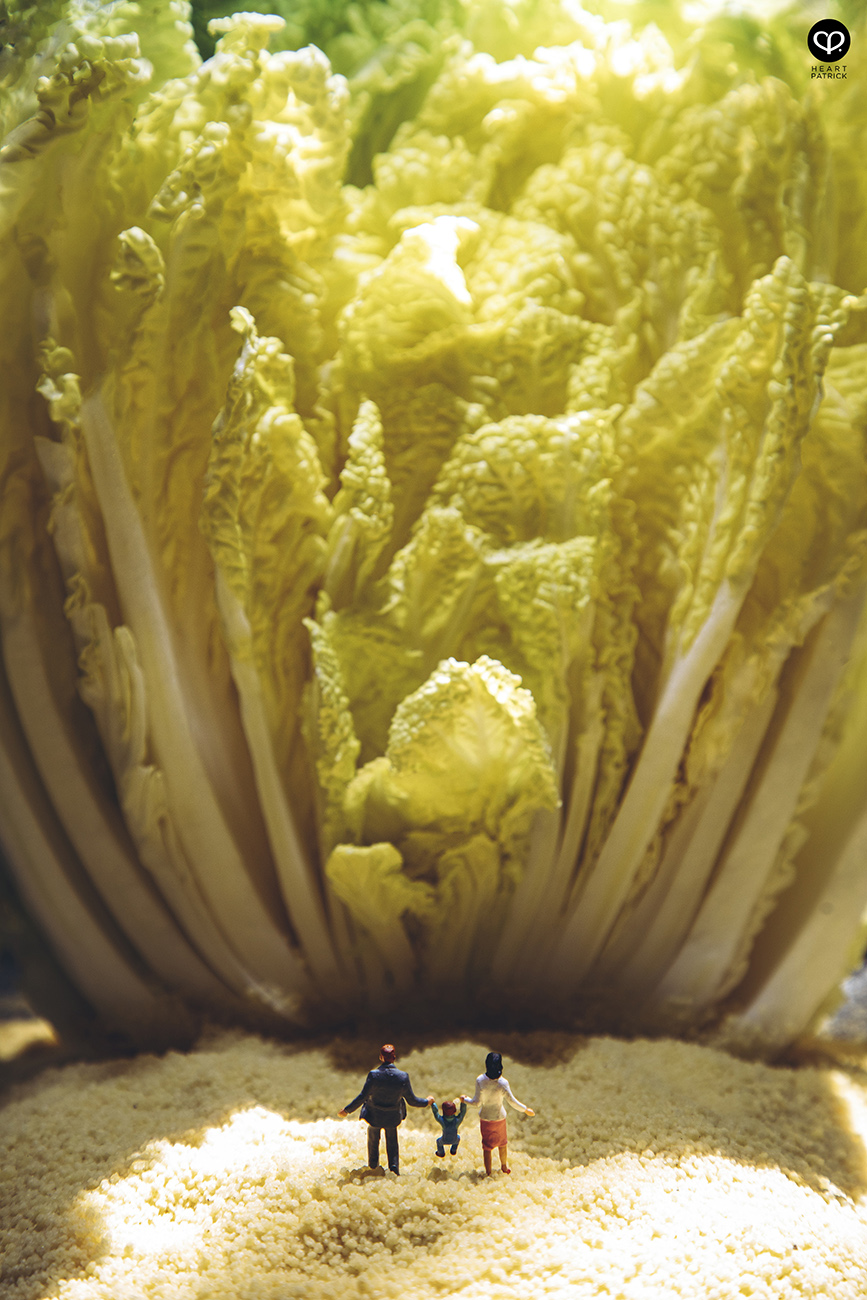 heartpatrick miniature photography creative mco covid19 stayhome