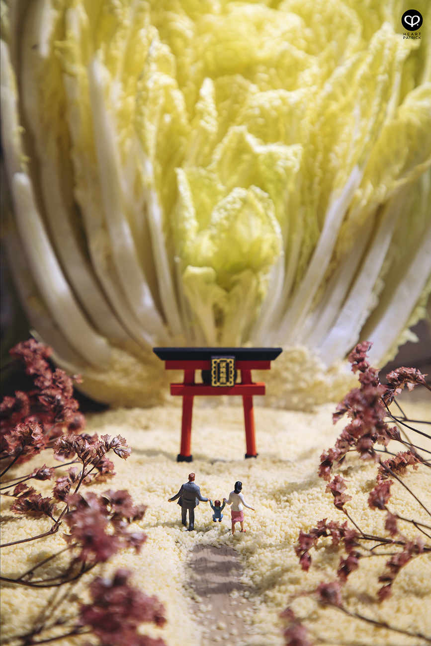 heartpatrick miniature photography creative mco covid19 stayhome