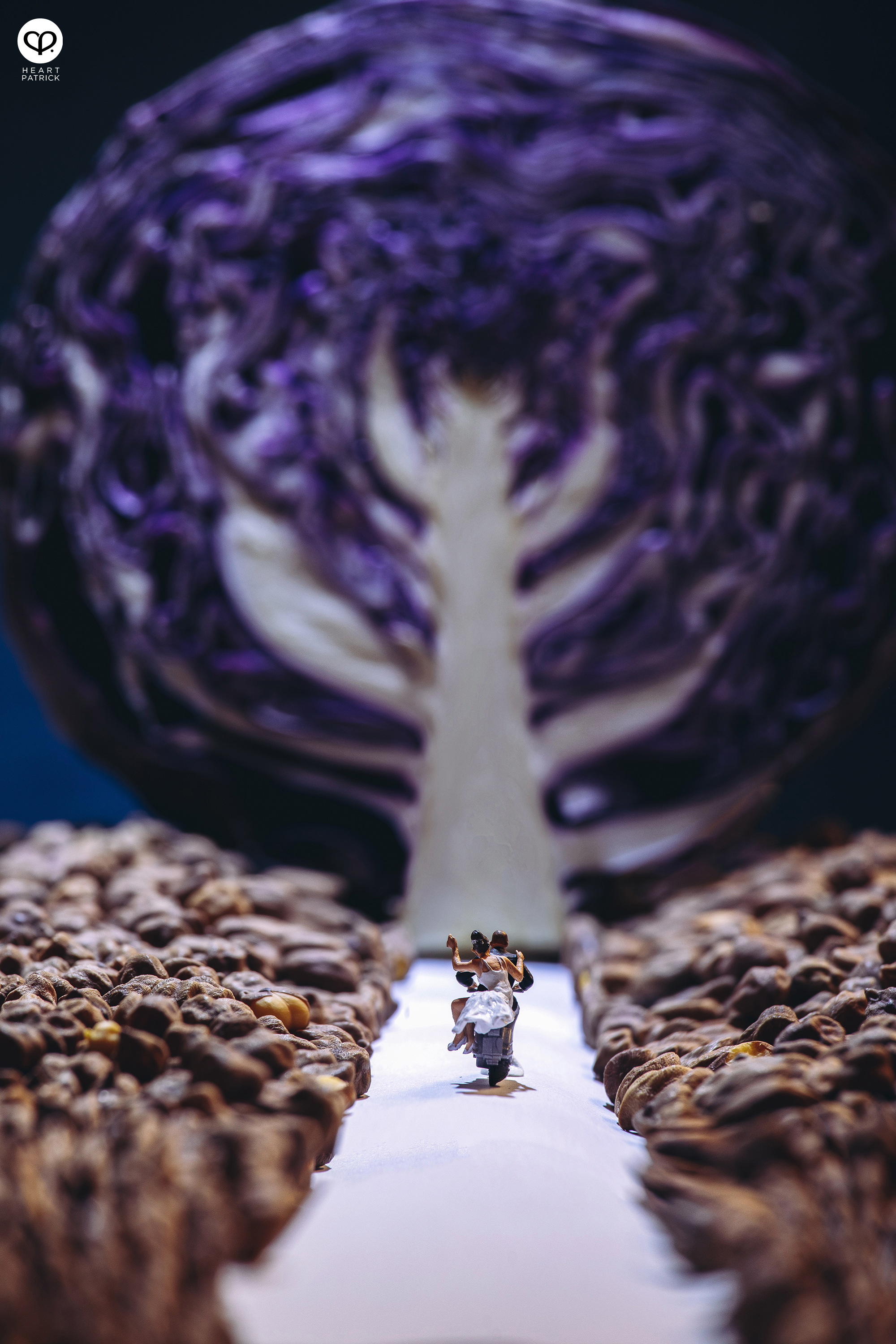 heartpatrick miniature photography creative mco covid19 stayhome