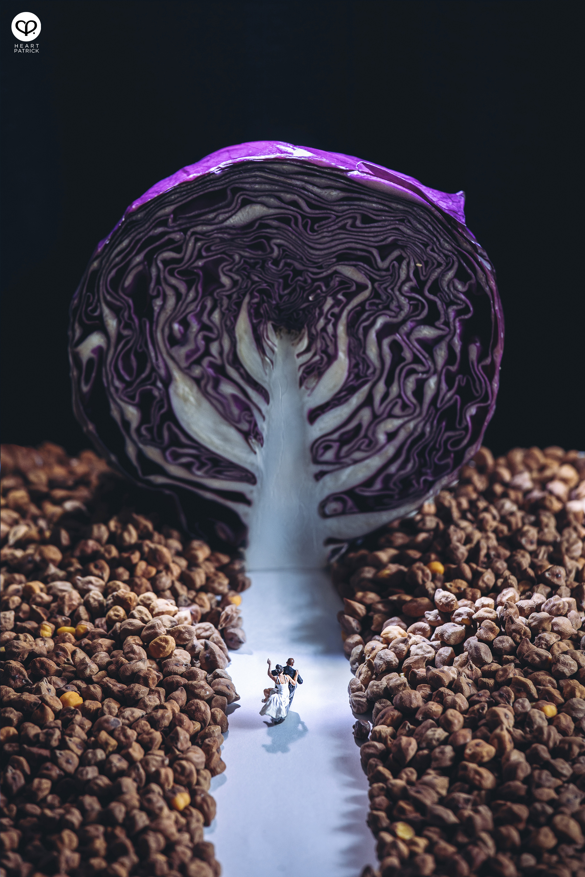 heartpatrick miniature photography creative mco covid19 stayhome