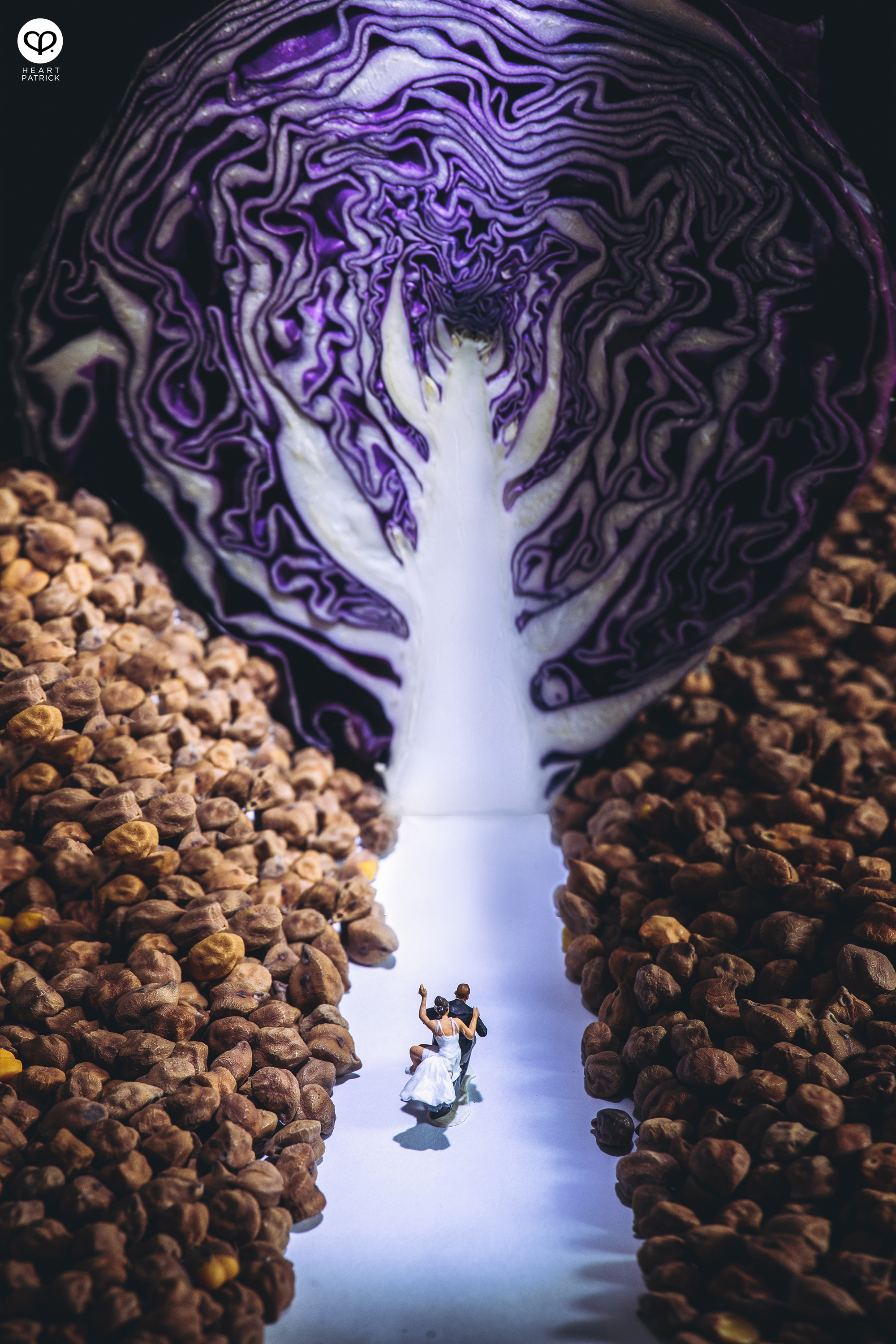 heartpatrick miniature photography creative mco covid19 stayhome