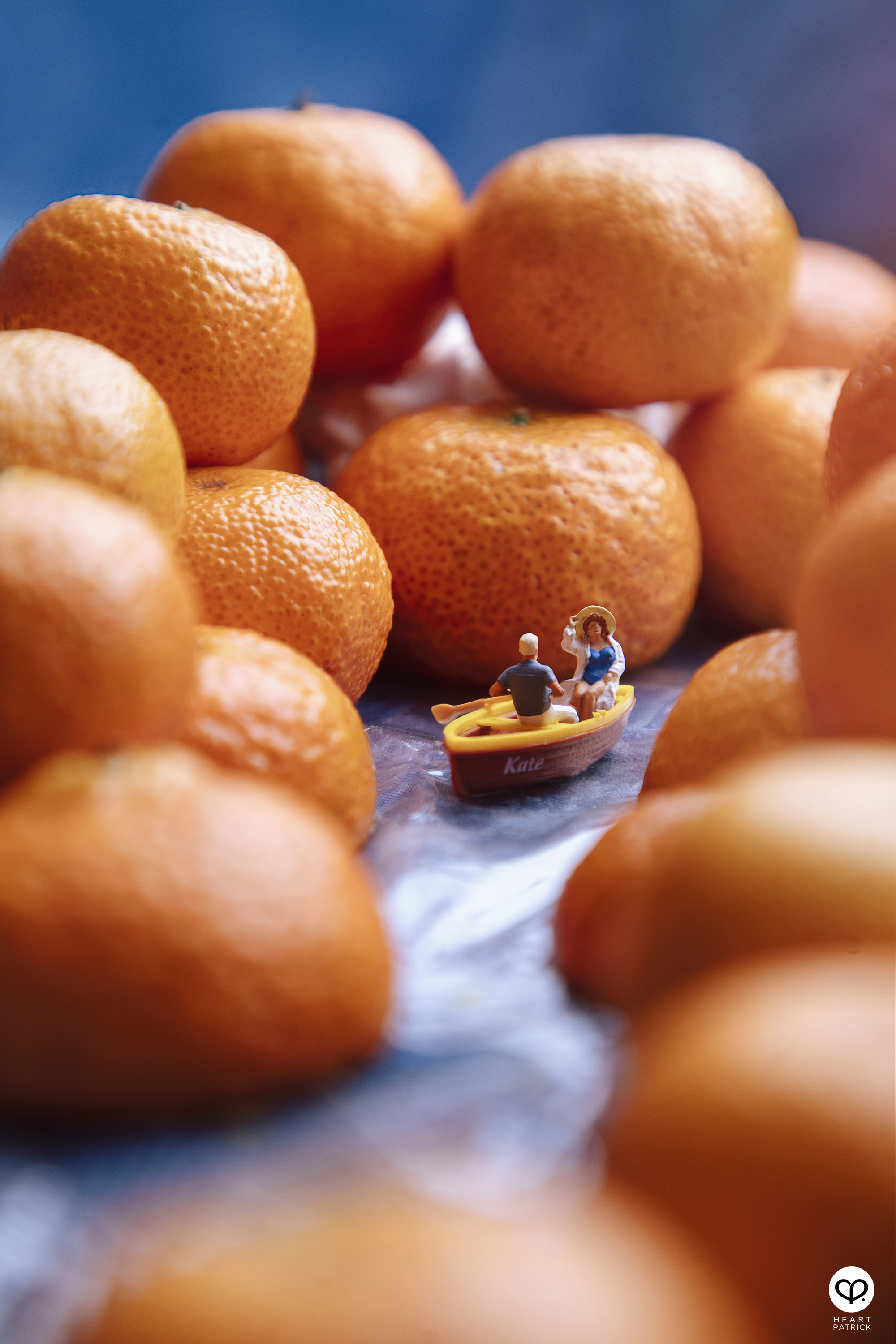 heartpatrick miniature photography creative mco covid19 stayhome