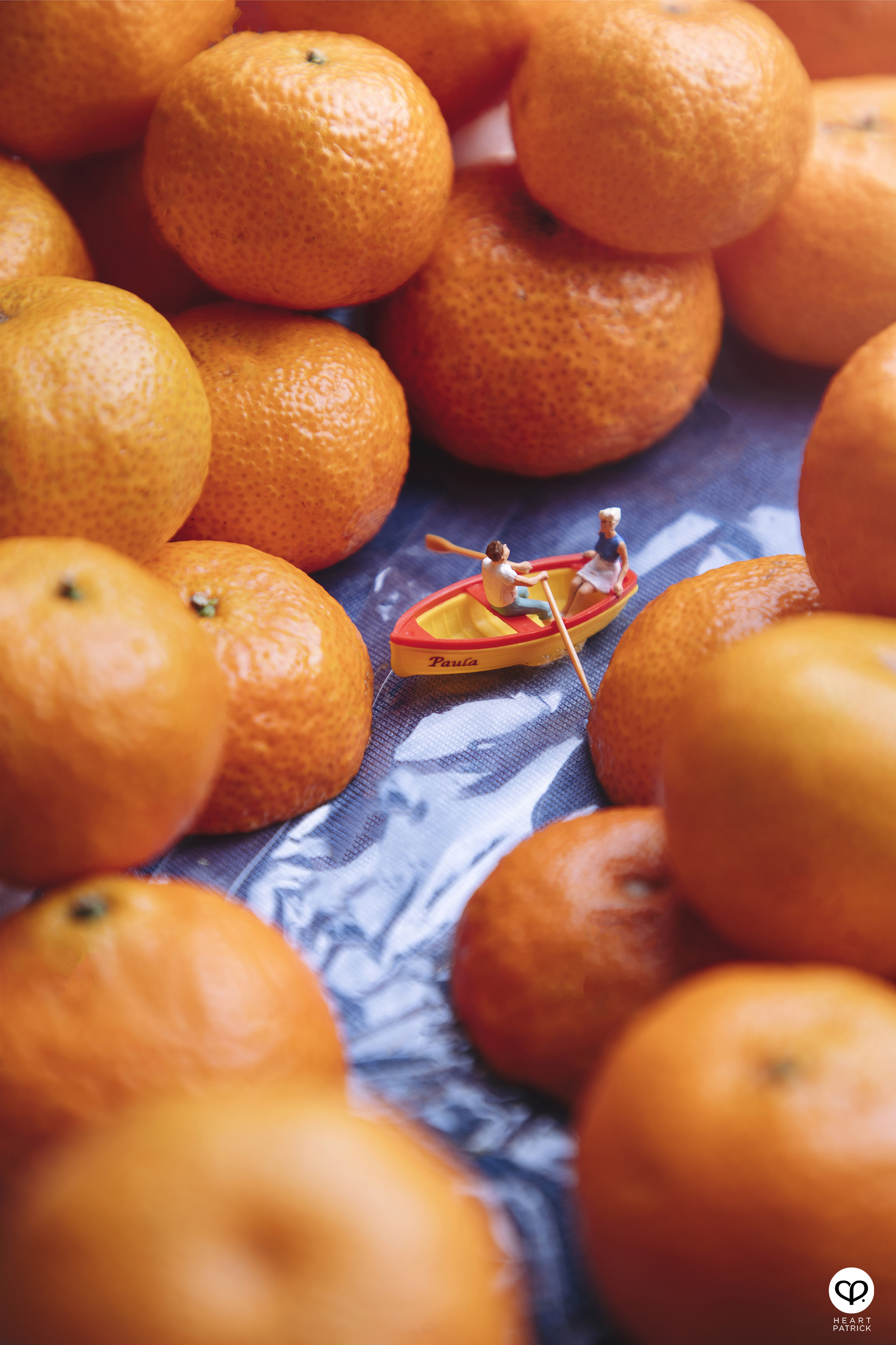 heartpatrick miniature photography creative mco covid19 stayhome