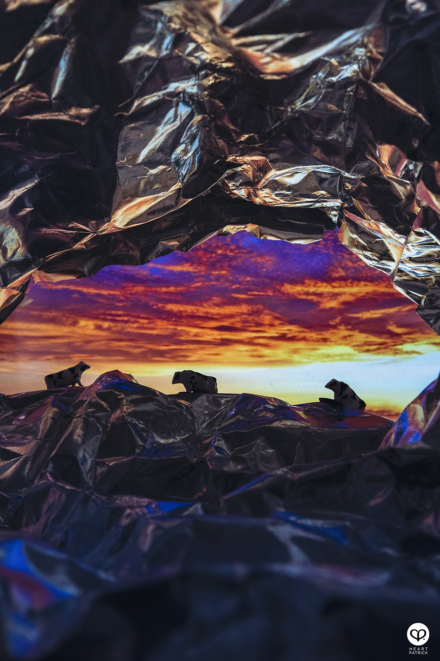 heartpatrick miniature photography creative mco covid19 stayhome